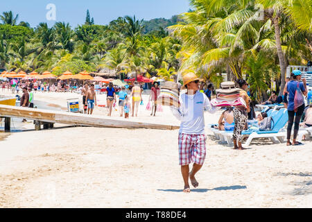 Maschio locale distributore vende hasts ai turisti su West Bay Beach Roatan Honduras. Foto Stock