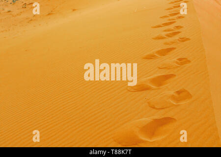 Salendo le dune di sabbia, orme nella sabbia, alba, il Deserto del Sahara, Marocco Foto Stock