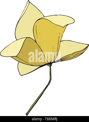 Vettore foral di Magnolia fiori botanica. Giallo inchiostro inciso art. Isolato magnolia illustrazione elemento. Illustrazione Vettoriale