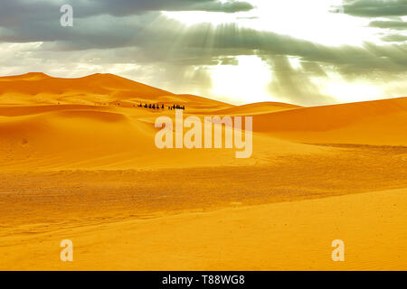 Caravan andando attraverso le dune di sabbia nel deserto del Sahara, Marocco Foto Stock