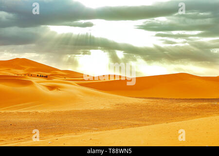 Caravan andando attraverso le dune di sabbia nel deserto del Sahara, Marocco Foto Stock