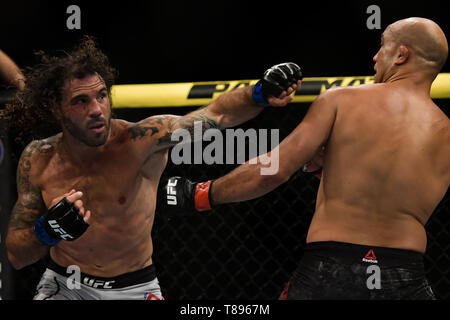 UFC 237: NAMAJUNAS vs. ANDRADE - Fighters BJPenn (red glove) e argilla Guida (blu guanto) durante UFC 237 scheda preliminare di lotta a Jeunesse Arena, Rio de Janeiro . Foto: Thiago Ribeiro / AGIF Foto Stock