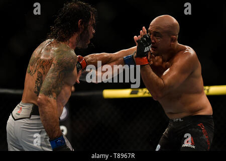 UFC 237: NAMAJUNAS vs. ANDRADE - Fighters BJPenn (red glove) e argilla Guida (blu guanto) durante UFC 237 scheda preliminare di lotta a Jeunesse Arena, Rio de Janeiro . Foto: Thiago Ribeiro / AGIF Foto Stock