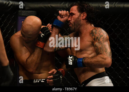 UFC 237: NAMAJUNAS vs. ANDRADE - Fighters BJPenn (red glove) e argilla Guida (blu guanto) durante UFC 237 scheda preliminare di lotta a Jeunesse Arena, Rio de Janeiro . Foto: Thiago Ribeiro / AGIF Foto Stock