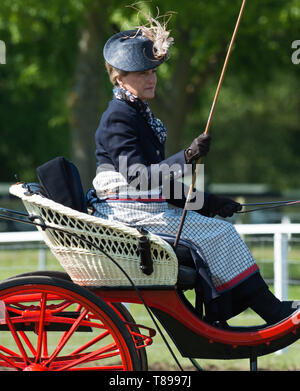 Windsor, Regno Unito. Il 12 maggio 2019. Sophie Wessex carrello guida a Royal Windsor Horse Show. Credito: Maureen McLean/Alamy Live News Foto Stock