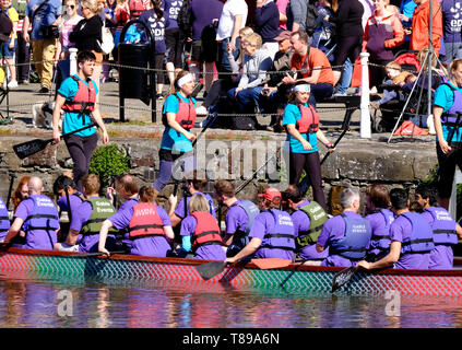 Gloucester, Regno Unito. Il 12 maggio 2019. Squadre Gara barche drago in Gloucester dock per le associazioni di beneficenza locali. Ogni imbarcazione ha un vivacemente colorato testa di drago a prua e un equipaggio di volontari che pagaia con tanto entusiasmo. Credito: Signor Standfast / Alamy Live News Foto Stock