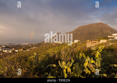 Vista aerea sulla natura nel sud dell'isola. Madow con vegetazione e opuntia cactus. Città e dell'Oceano Atlantico. Piccola parte di un arcobaleno. C Foto Stock