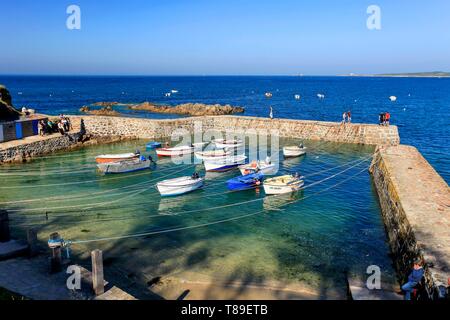 Francia, Manche, Cotentin, Cap de la Hague, Saint Germain des Vaux, porta Racine è il più piccolo porto in Francia Foto Stock