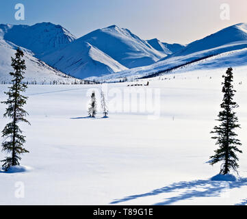 Sled Dog team nel deserto senza fine dei cancelli dell'Artico Parco Nazionale e Riserva entro il Brooks Range a nord-ovest della Gold Rush commun Foto Stock