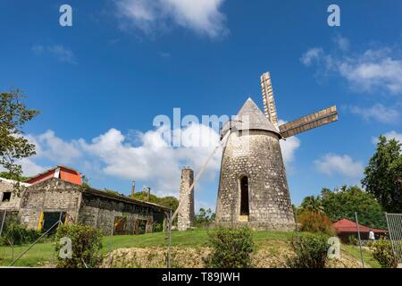 Francia, Guadalupa e Marie Galante, Capesterre de Marie Galante, dimora Bellevue, la distilleria di rum, vecchi edifici e rovine, vecchio mulino a vento restaurato che è ancora utilizzato per la produzione di ecopositive Foto Stock