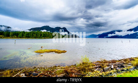 Cielo nuvoloso scuro su Pitt lago ed appendere intorno le montagne della costa Mountain Range in Fraser Valley della British Columbia, Canada Foto Stock