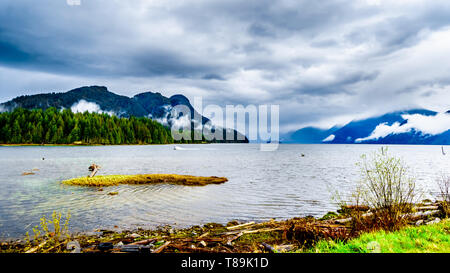 Cielo nuvoloso scuro su Pitt lago ed appendere intorno le montagne della costa Mountain Range in Fraser Valley della British Columbia, Canada Foto Stock