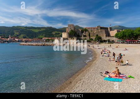 Francia, Pirenei orientali, Collioure, Castello Reale Foto Stock