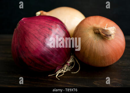 Rosso e Giallo le cipolle Foto Stock