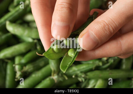 Donna sgranare piselli verdi, primo piano Foto Stock