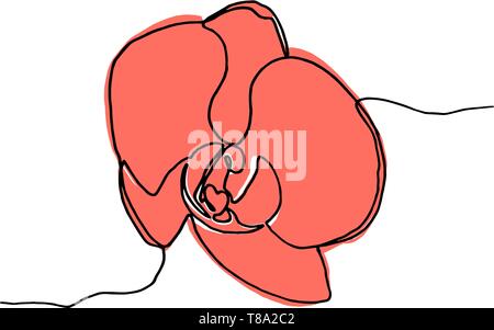 Disegnata a mano di fiori di orchidea, una singola linea disegno. Illustrazione Vettoriale