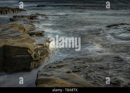 Primavera in piena visualizzazione lungo la costa della California a San Diego Stati Uniti d'America Foto Stock