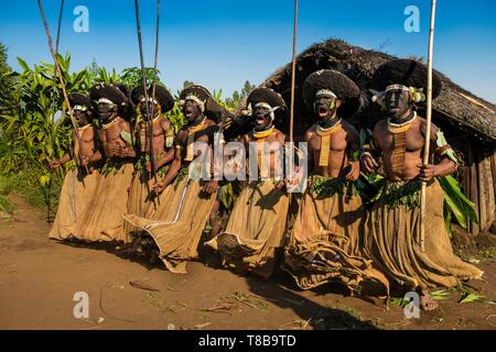 Papua Nuova Guinea, Enga Provincia, Enga tribù, Wabag regione, danzatori vestiti per un Sing-Sing (una danza tradizionale) Foto Stock