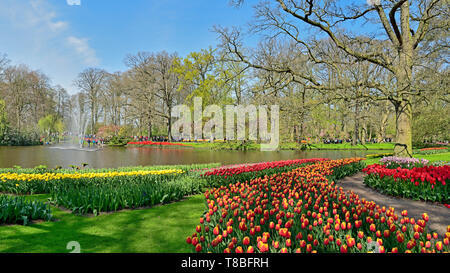 Fotografato nel parco Keukenhof in aprile 2019, fioritura tulipani intorno al lago fontana Foto Stock