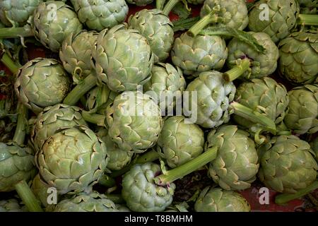 Francia, Pirenei orientali, Torreilles, sanchez Jose Marie, agricoltore, i carciofi di Roussillon (IGP) Foto Stock