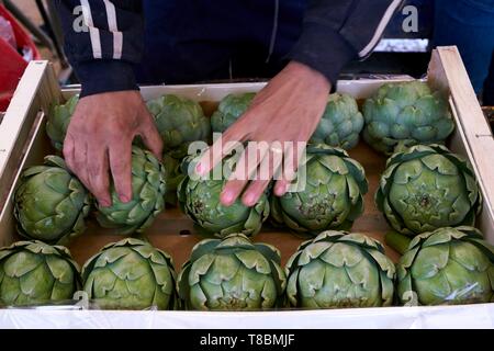 Francia, Pirenei orientali, Torreilles, sanchez Jose Marie, agricoltore, i carciofi di Roussillon (IGP), i carciofi vengono ordinati e confezionato in casse Foto Stock