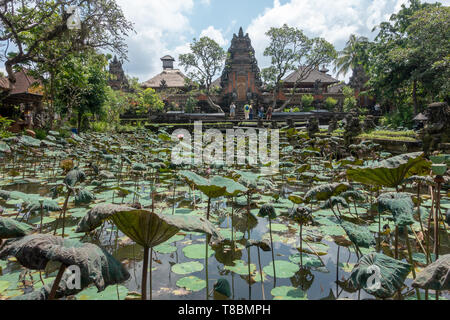 La pura Taman Saraswati è un bellissimo tempio di acqua nel centro di Ubud, accessibile dal Jalan Kajeng strada laterale al di fuori della strada principale di Jalan Raya Ubu Foto Stock