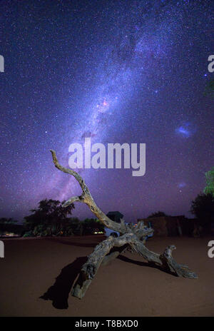 Via lattea sopra un albero morto tronco nel deserto del Namib di Namibia Foto Stock