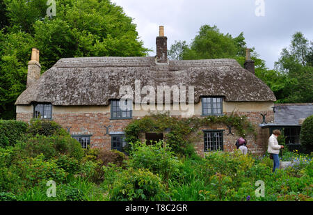 Il cottage in maggiore Bockhampton, Dorset, dove l'autore Thomas Hardy è nato nel 1840. Foto Stock