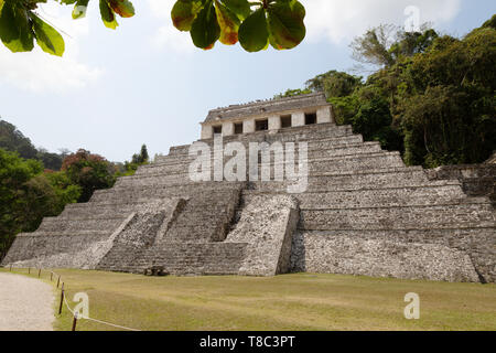 Palenque Messico - Il tempio delle iscrizioni, Maya rovinato tempio, sito patrimonio mondiale dell'UNESCO, Palenque Messico America Latina Foto Stock