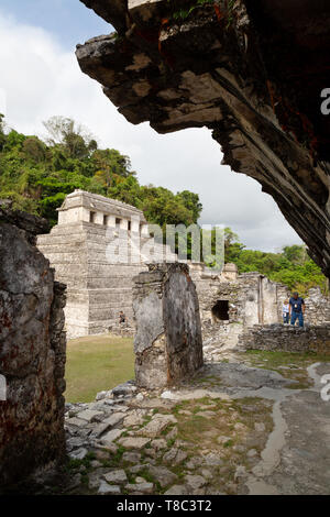 Palenque Messico rovine maya - con il tempio di iscrizioni in background, Palenque Yucatan Messico America Latina Foto Stock