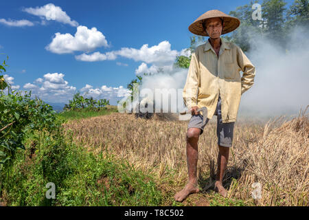 Ritratto di riso indonesiano agricoltore, Giava centrale, Indonesia Foto Stock