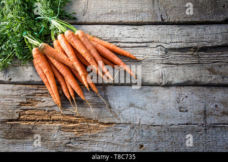 Mazzo di carote fresche liberamente giacente sul vecchio giardino board Foto Stock