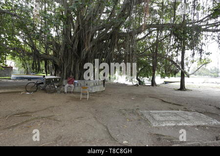 Le sud-est : berceau historique de l'île Maurice Foto Stock