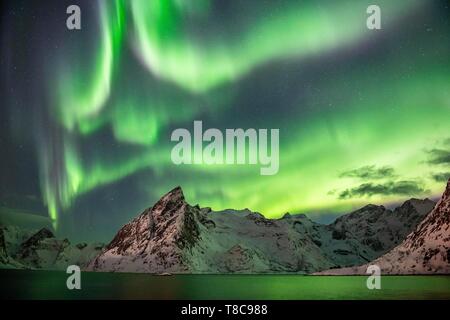 Luci del nord (Aurora Boreale) su montagne in inverno, Olstinden, Hamnoy, Moskenesoy, Lofoten, Norvegia Foto Stock