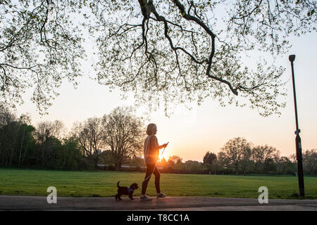 Una donna cammina il suo cucciolo in un parco di Londra al tramonto Foto Stock