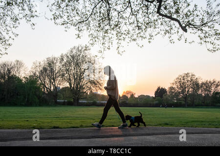 Una donna che porta in sé il giovane cucciolo in un parco di Londra Foto Stock