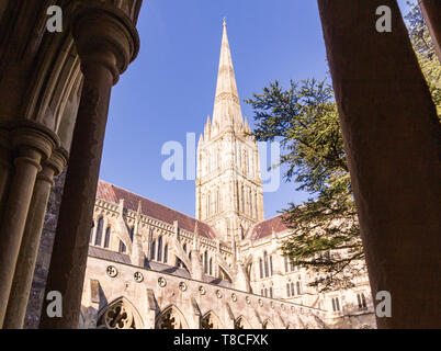 Il gotico della Cattedrale di Salisbury nel Wiltshire incorniciato da pilastri di pietra dal chiostro adiacente su un luminoso pomeriggio di primavera Foto Stock