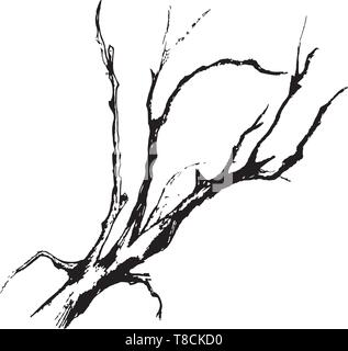 Bianco nero illustrazione di rami di alberi. Il gioco di luce e di ombra. Illustrazione Vettoriale