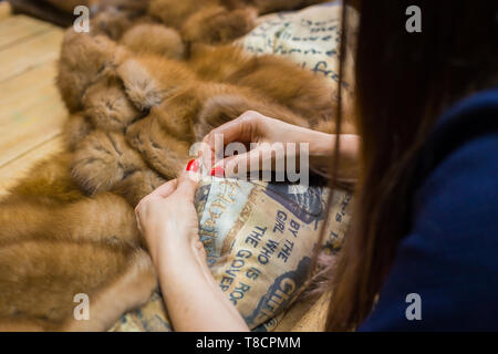 Professional sarto, designer riparazione di pelliccia all'atelier, studio. La moda e la sartoria concept Foto Stock
