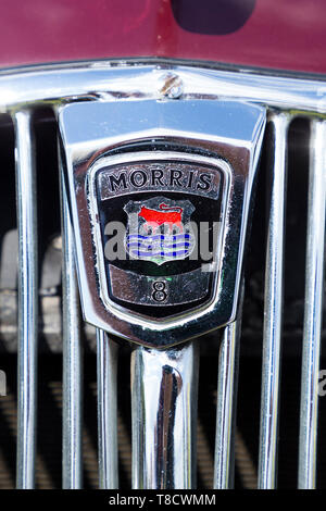 Morris 8 auto / badge calandra logo / Insignia su un vecchio classico British auto. (108) Foto Stock