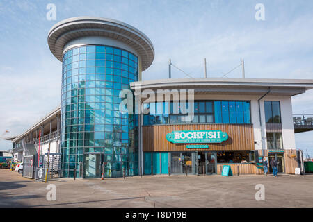 Brixham Harbour Office, Brixham, Torbay, DEVON REGNO UNITO Foto Stock