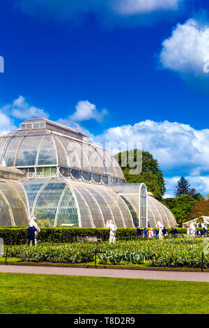 Palm House di Kew Gardens, London, Regno Unito Foto Stock