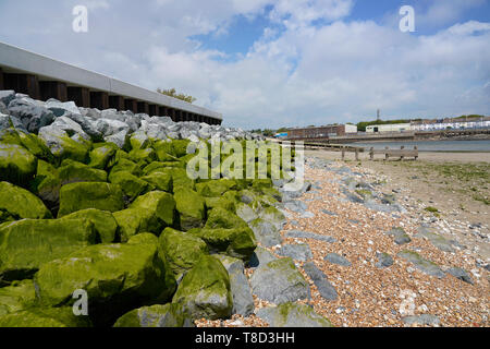 Shoreham dal mare, Susses, Regno Unito - una bellissima spiaggia cittadina inglese in una giornata di sole Foto Stock