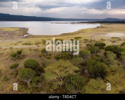 Kenya, Soysambu conservancy, Elmenteita lago da un drone Foto Stock