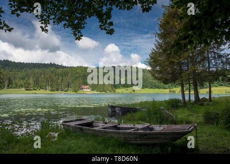 Francia, Ain, Oyonnax, Lago Genin, un gioiello naturale nella città di Charix nelle montagne del Giura Foto Stock