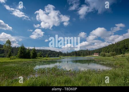 Francia, Ain, Oyonnax, Lago Genin, un gioiello naturale nella città di Charix nelle montagne del Giura Foto Stock