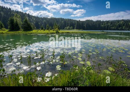 Francia, Ain, Oyonnax, Lago Genin, un gioiello naturale nella città di Charix nelle montagne del Giura Foto Stock