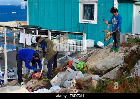 La Groenlandia, west coast, baia di Baffin, Upernavik, cacciatori Scuoiando un tricheco testa e un Inuit ragazzo giocando con una testa di renne braccato da suo padre Foto Stock