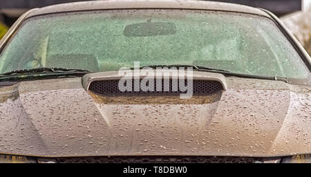 Un grigio metallico 2001 Ford Mustang GT Coupe coperto di goccioline di acqua dopo una pioggia di estate tempesta. Minuscole gocce di acqua che riflette la luce e frizzante. Foto Stock