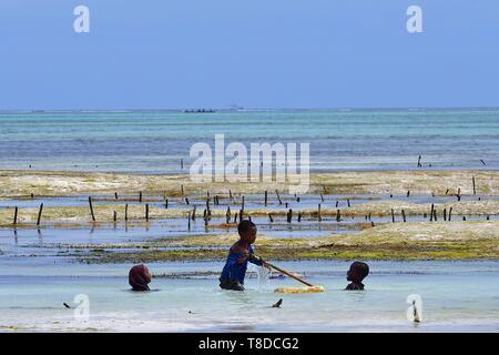 Tanzania, Zanzibar Jambiani Foto Stock